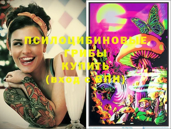 таблы Верхний Тагил