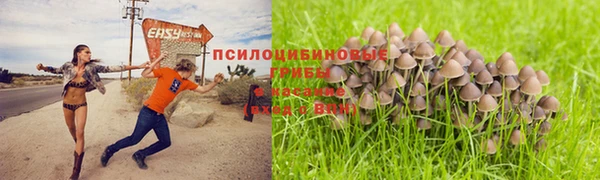 марки nbome Верхнеуральск