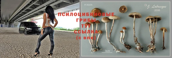 таблы Верхний Тагил
